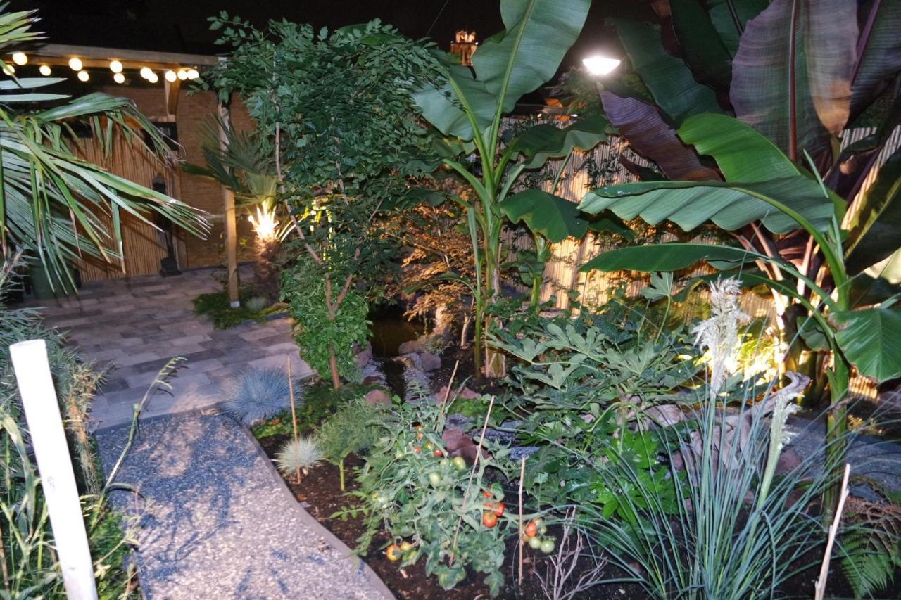 Jungle Stay In A Hidden Paradise Zwijndrecht Εξωτερικό φωτογραφία