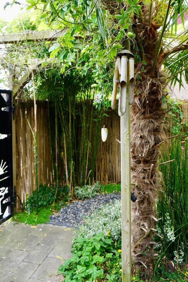 Jungle Stay In A Hidden Paradise Zwijndrecht Εξωτερικό φωτογραφία