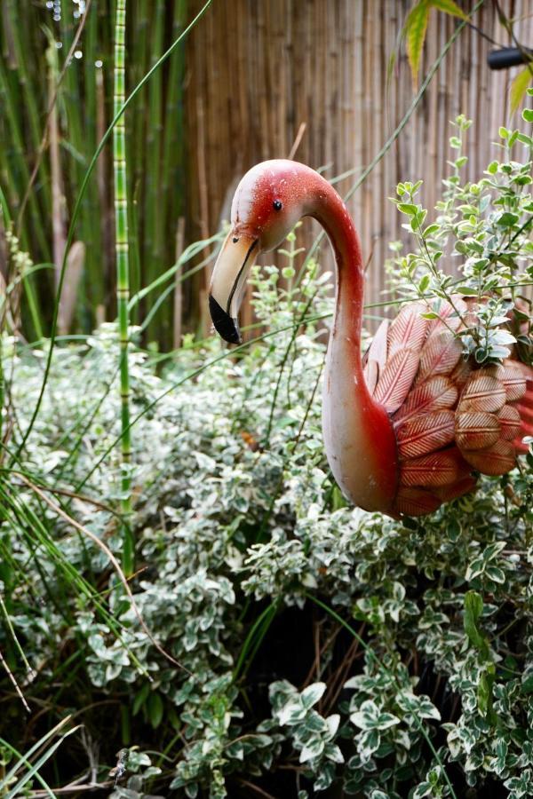 Jungle Stay In A Hidden Paradise Zwijndrecht Εξωτερικό φωτογραφία