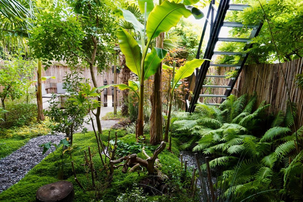 Jungle Stay In A Hidden Paradise Zwijndrecht Εξωτερικό φωτογραφία